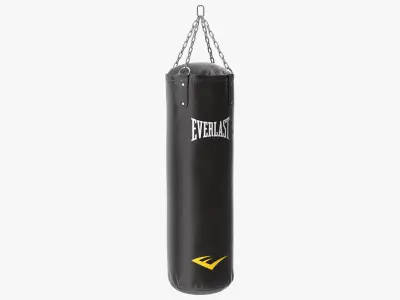 Boxing Gloves and Punching Bag Collection 3D model