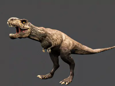 Tyrannosaurus Rex Low-poly 3D model 15
