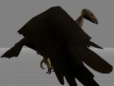 Vulture Bird Buzzard Animal Low-poly 3D model