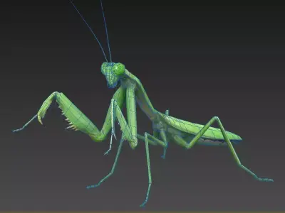 mantis insect Low-poly 3D model buy