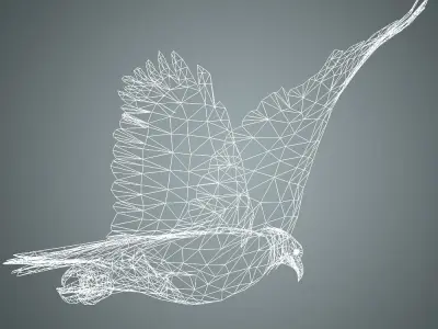 Bird Eagle with animation Low-poly 3D model