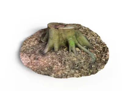 Forest Tree Stump 4K -Part 8-  Free low-poly 3D model