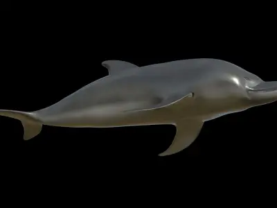 Dolphin fully rigged and low poly Low-poly 3D model