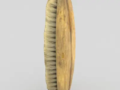 Brush Low Poly hair Low-poly 3D model