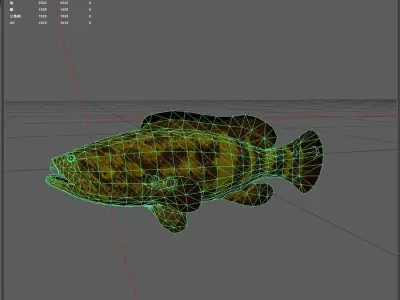 Grouper Low-poly 3D model 3