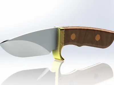 Knife Buck custom skinner 3D print model