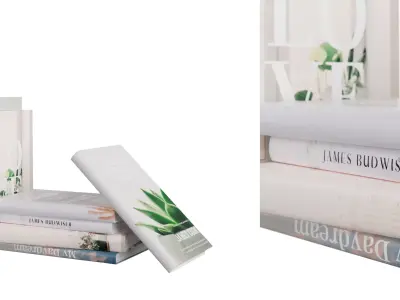 Books Set 04 Free low-poly 3D model