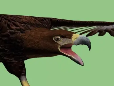 GoldenEagle-Attack eagle Low-poly 3D model