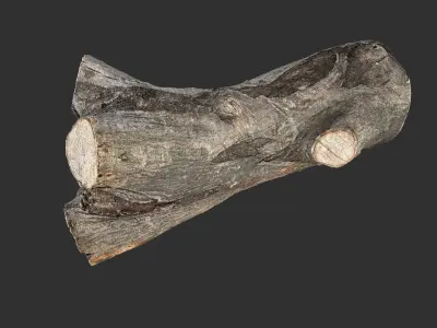 A piece of sawn wood 3d scan in highpoly 3D model