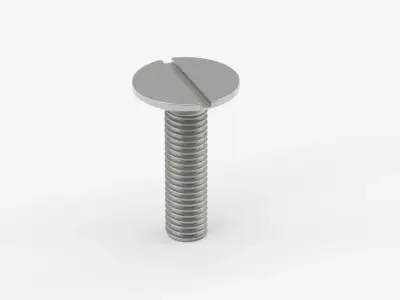 Slotted Machine Screw 3D model