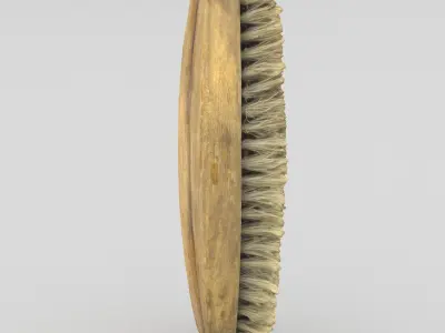Brush Middle Poly 3D model