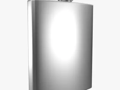 Flask hip 3D model