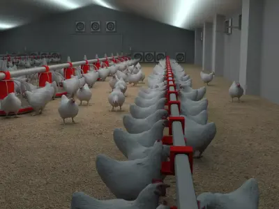Poultry farm with rigged and animated chickens 3D model