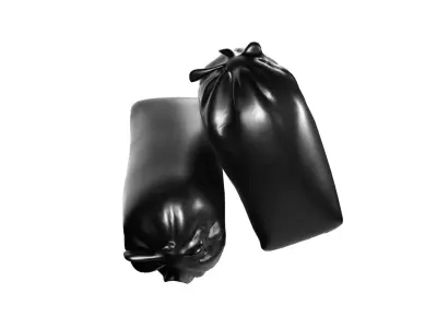 Stuff sack Free low-poly 3D model