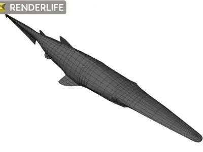 Goblin shark with animation 3D model