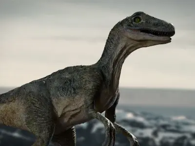 Velociraptor Animated Rigged 3D model Low-poly 3D model