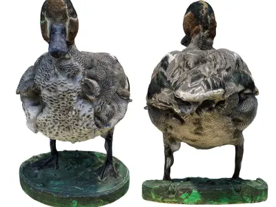Wild duck 3D model