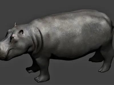 Hippopotamus fully rigged Low-poly 3D model