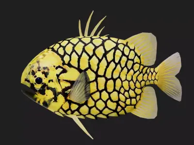 Snapper Low-poly 3D model 4