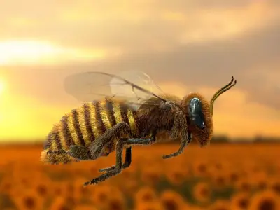 Animated bee 3D model