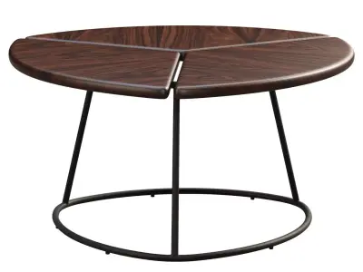 Joybird Monstera Coffee Table 3D model