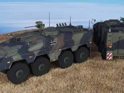 GTK Boxer Low-poly 3D model