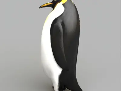 Penguin Plus Animation Low-poly 3D model