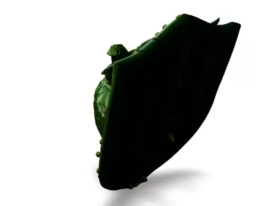 Green Dragon Shield LowPoly Game Asset Low-poly 3D model