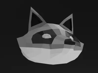 Mapache  Free 3D model