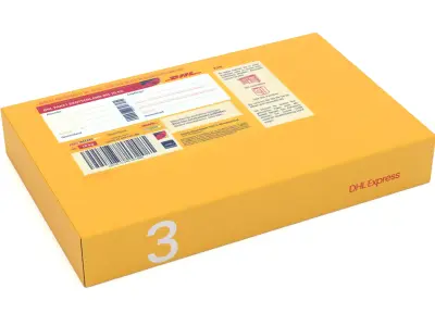 Cardboard Packaging Box DHL 3D model