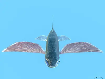 Atlantic flying fish Low-poly 3D model