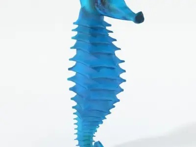 Seahorse Low-poly 3D model buy