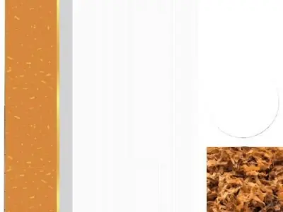 Cigarettes  3D model