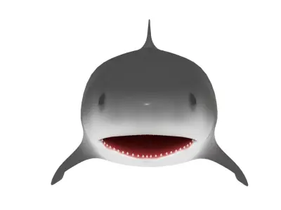 Shark Rigged 3D model