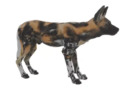 African Wild Dog Low-poly 3D model