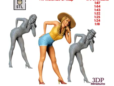 N5 Pin-up girl 3D print model