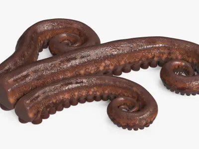  Marine Octopus Tentacles Curled 