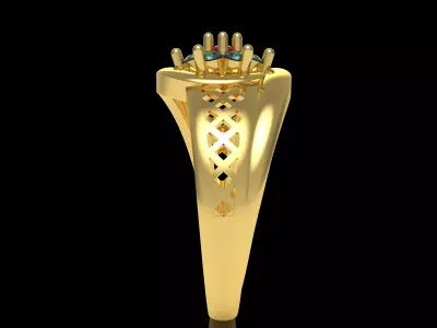 The Jamini Ring 3D print model