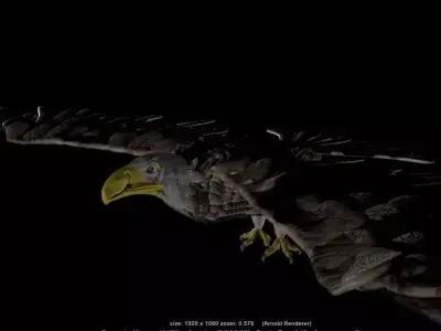 Eagle flying Low-poly 3D model