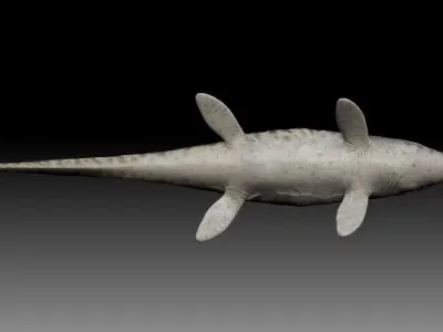 Mosasaurus 3D model 3D model