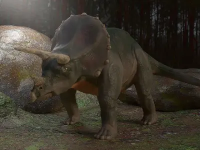 Triceratops dinosaur in forest Free low-poly 3D model