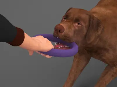 Man Playing with Dog 3D model