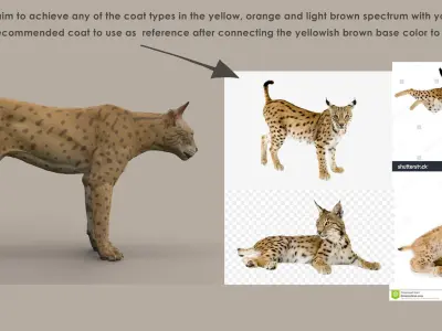 Groom Ready Iberian Lynx with Texture Maps Animation Topology UDIMs Bones and Muscles 3D model