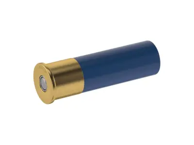 Bullet 20 GAUGE Low-poly 3D model