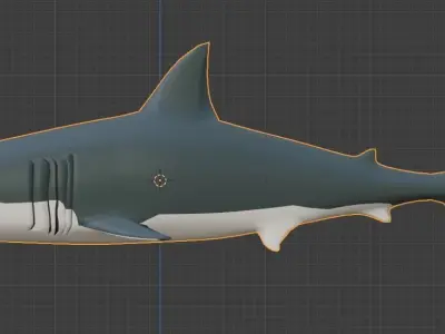Semi-Realistic Great White Shark Low-poly 3D model