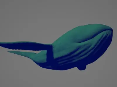 Whale High and Low poly FBX Low-poly 3D model