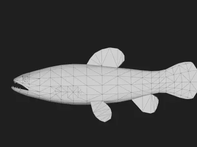 Gianttrahira Low-poly 3D model