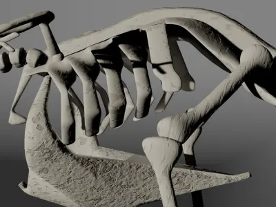bird skeleton 3D model