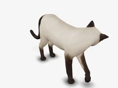cat Siamese 3D model