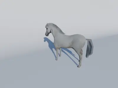 White Horse Low-poly 3D model